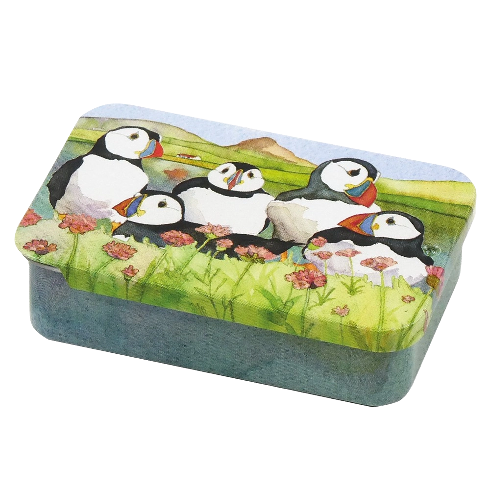 Æske med skydelåg