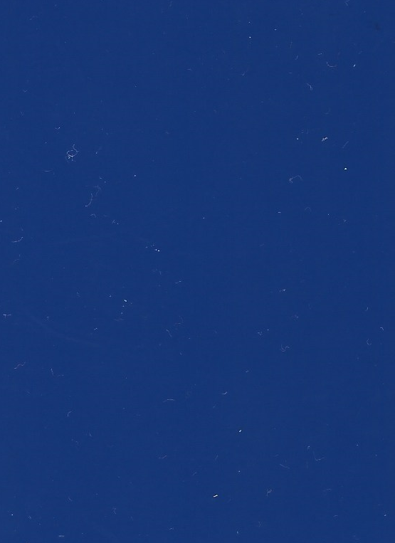 Strúkifolie einlitt