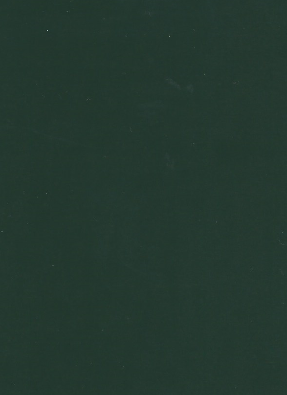 Strúkifolie einlitt