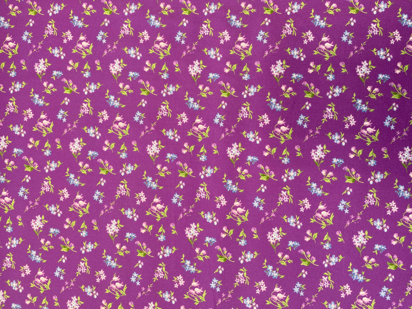 Market - petunia